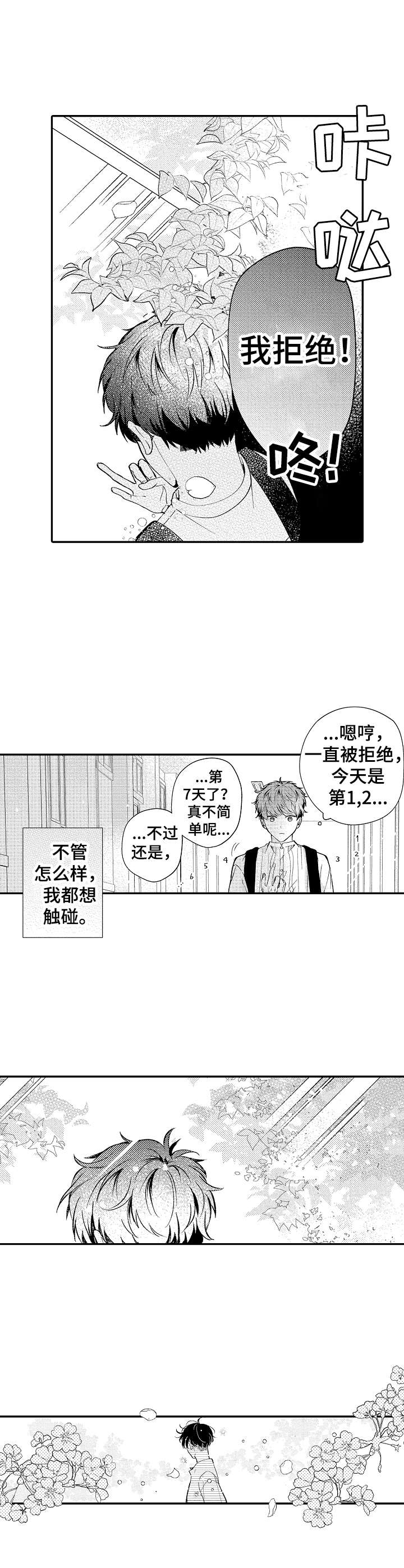 《世界因你而隐形》第2章锲而不舍 第11页
