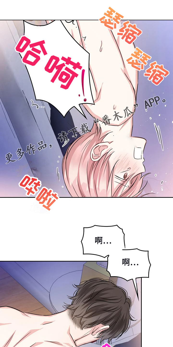 《童颜上司》第76章最后一个目的地 第1页
