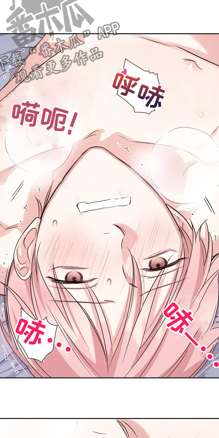 《童颜上司》第76章最后一个目的地 第3页
