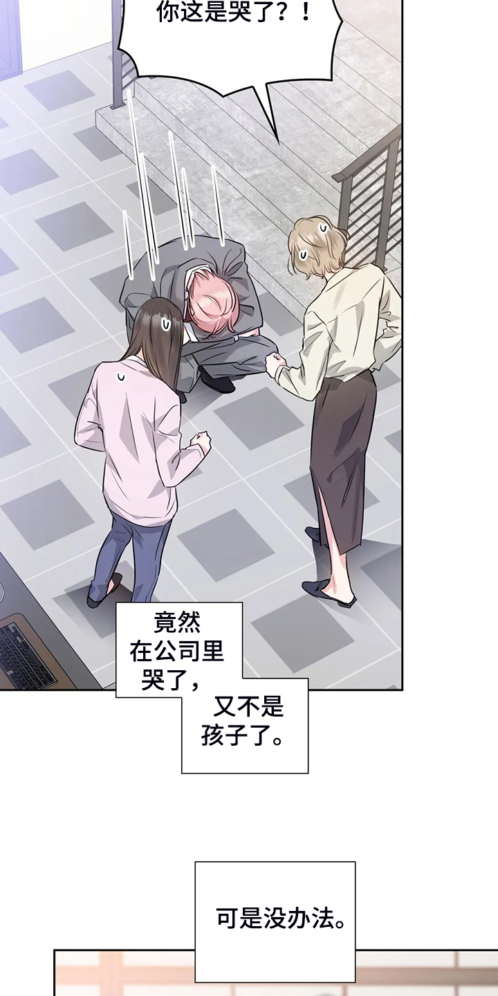 《童颜上司》第66章卸任理事 第10页