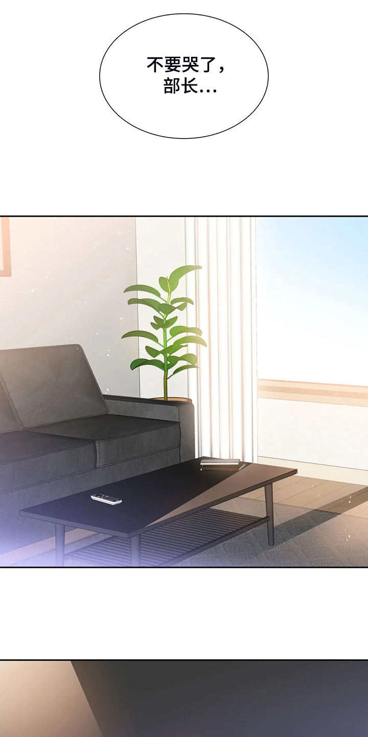 《童颜上司》第66章卸任理事 第15页