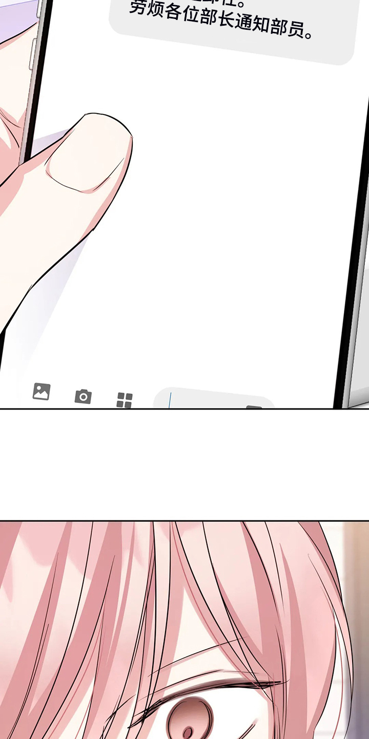 《童颜上司》第66章卸任理事 第23页