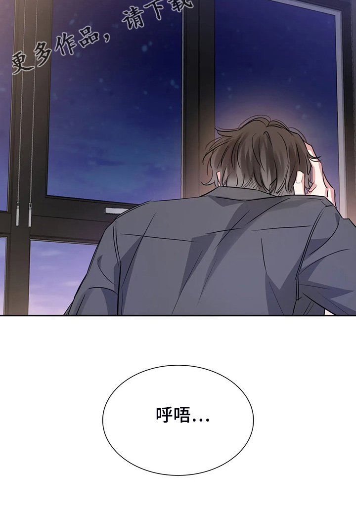 《童颜上司》第58章比谁都珍惜 第20页
