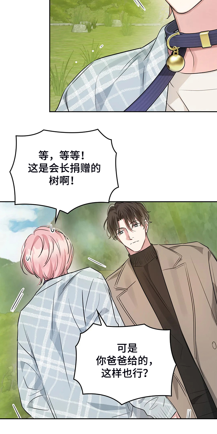 《童颜上司》第47章留下的记忆 第20页