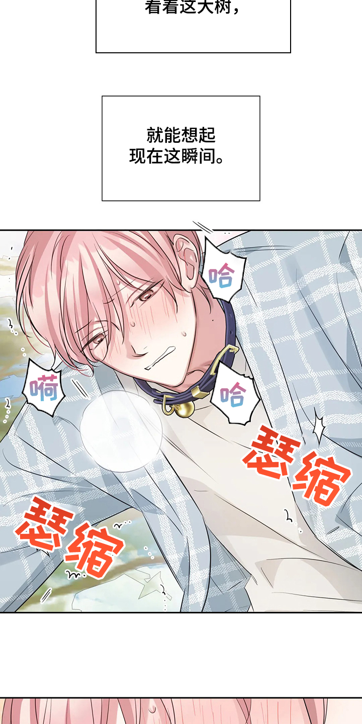 《童颜上司》第48章这绝对是报复 第3页