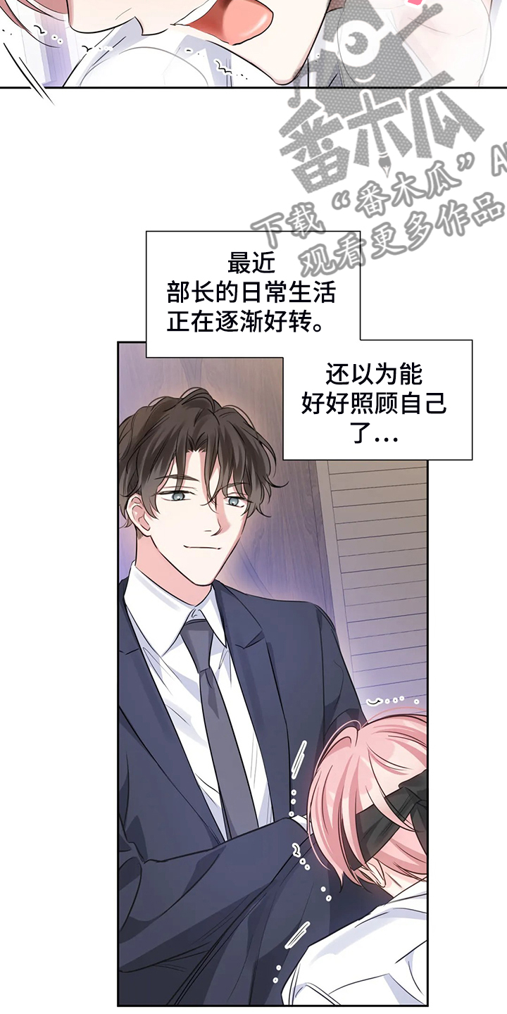 《童颜上司》第43章为什么不告诉我 第19页