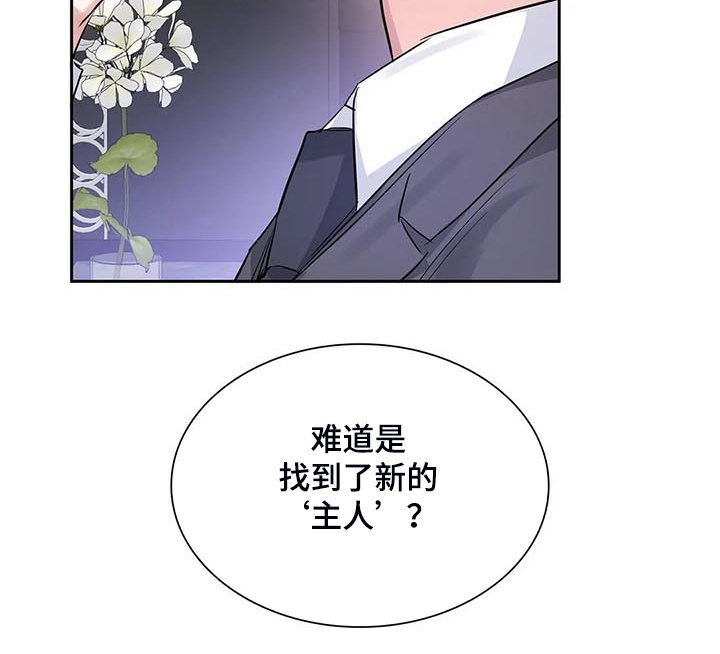 《童颜上司》第40章新的主人 第23页