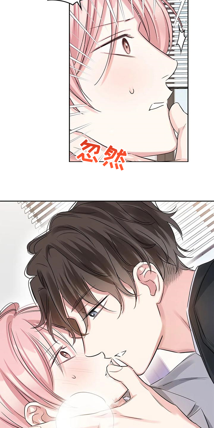 《童颜上司》第40章新的主人 第6页