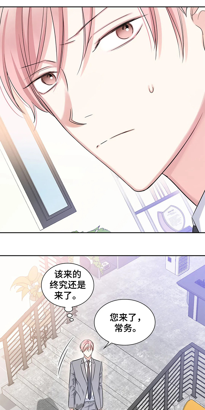 《童颜上司》第37章常务找事 第13页
