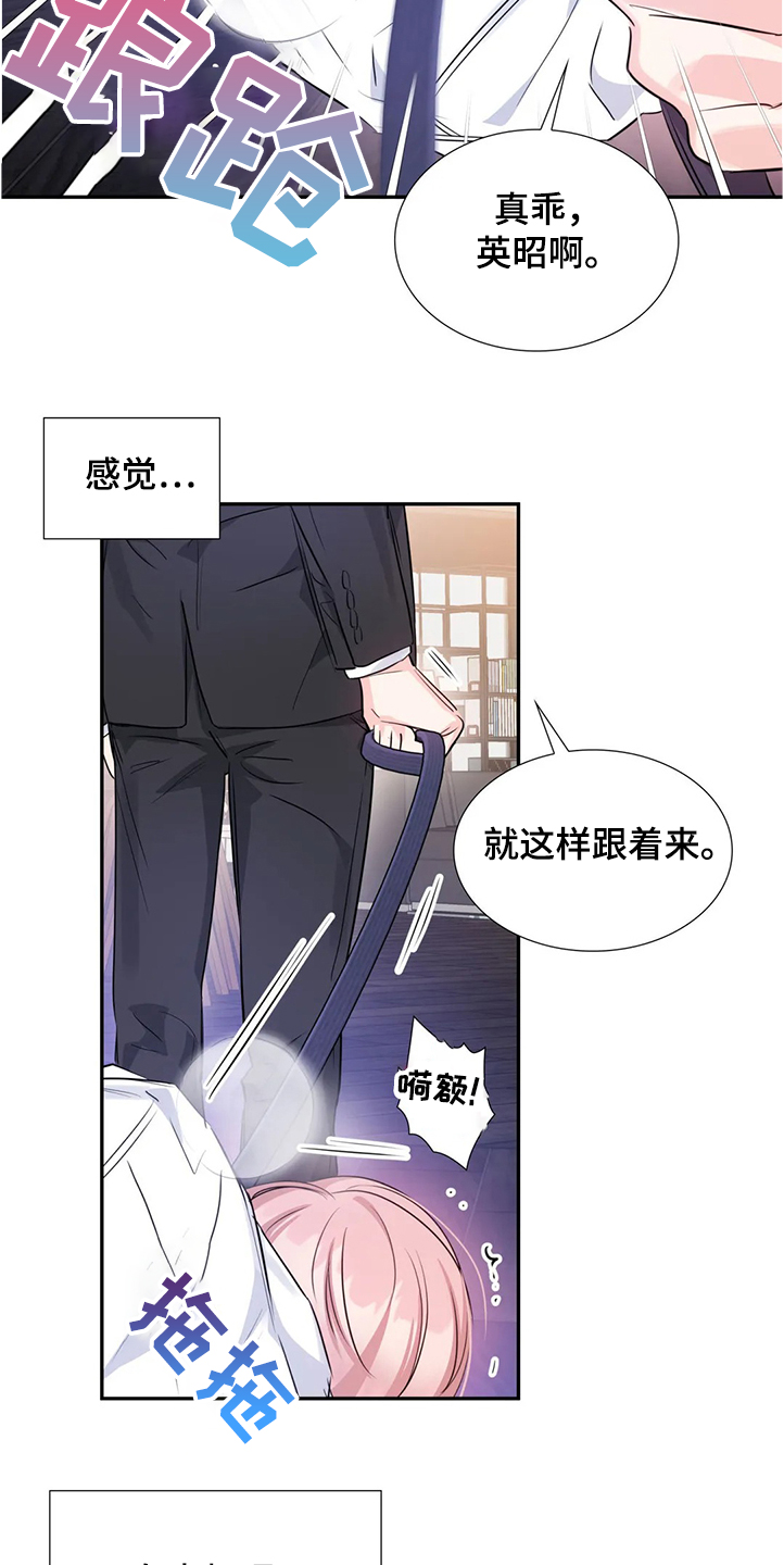 《童颜上司》第26章真的抱歉 第11页