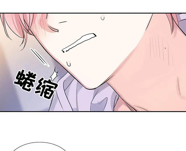 《童颜上司》第16章不该担心 第6页