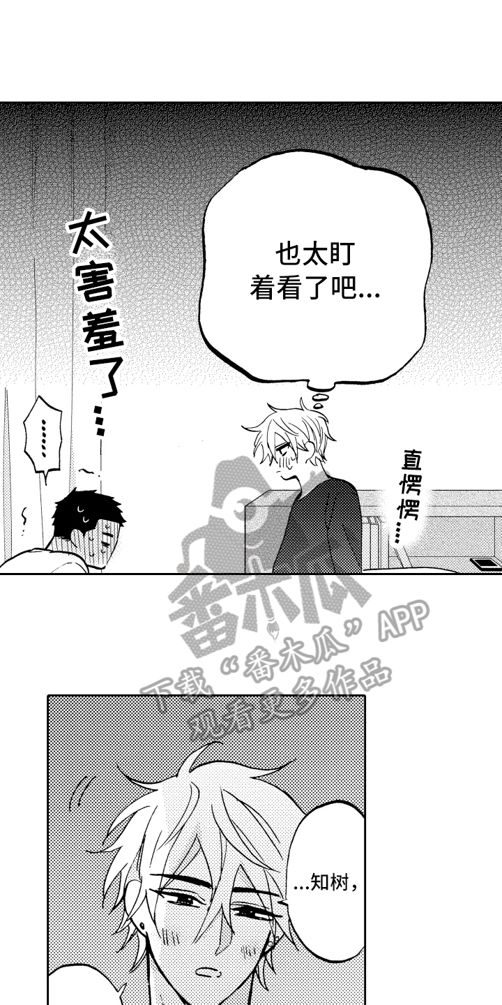 《融化在晚上》第15章担心 第3页