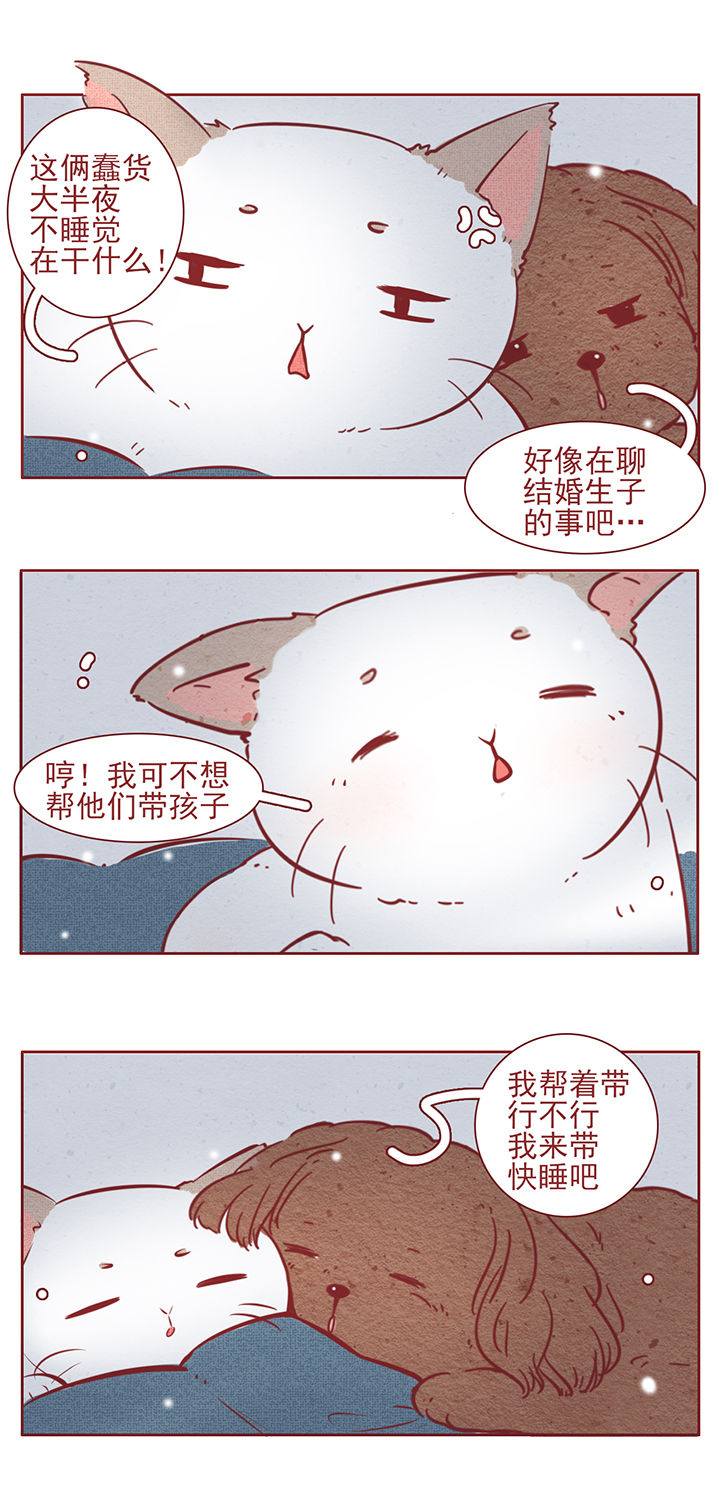 《晴天港湾》第40章 第7页