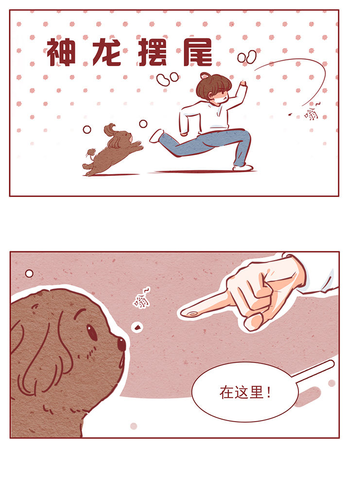 《晴天港湾》第43章 第9页