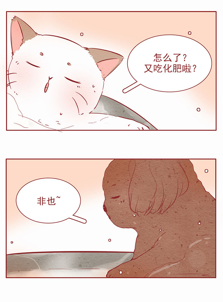 《晴天港湾》第27章 第2页