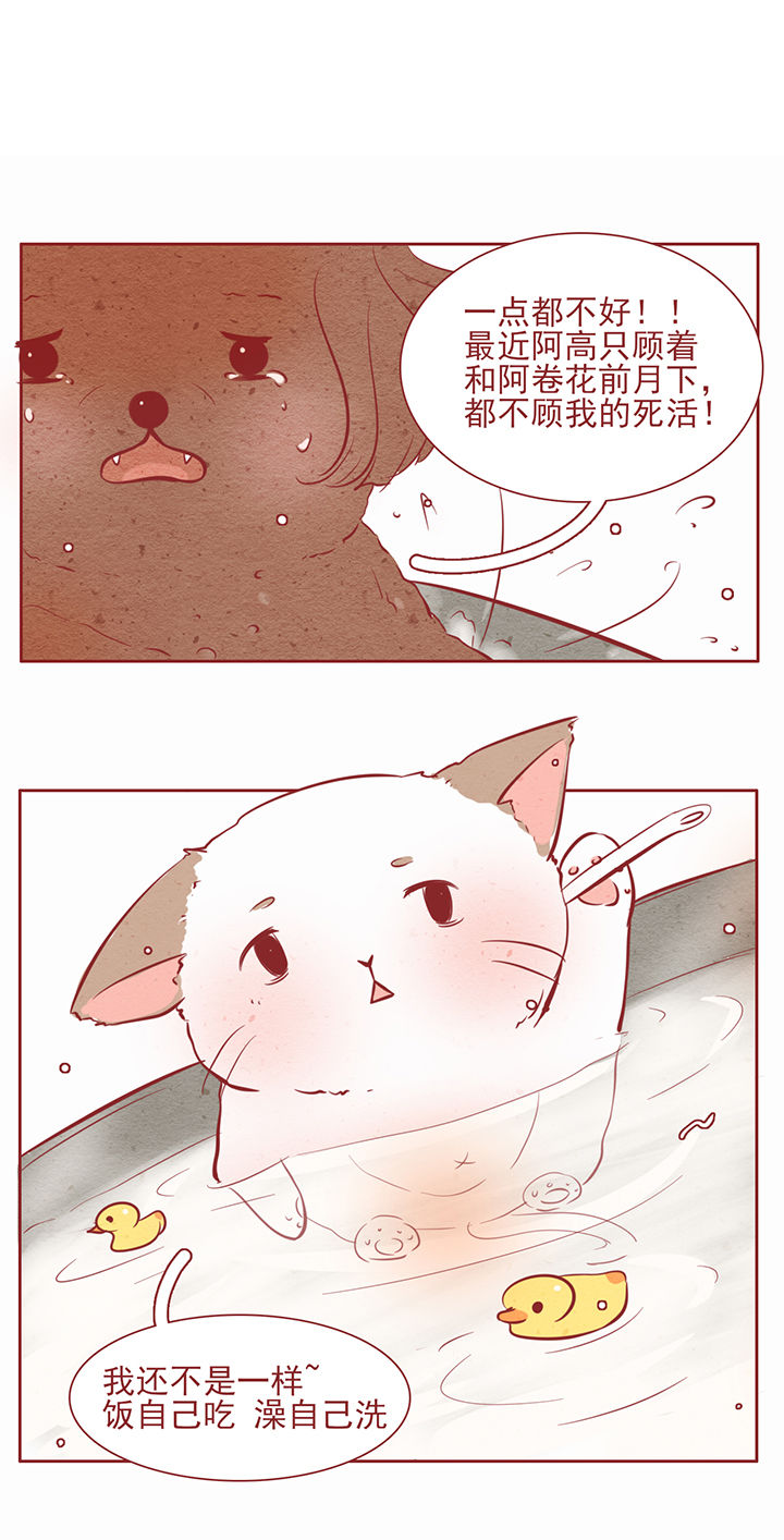 《晴天港湾》第27章 第6页