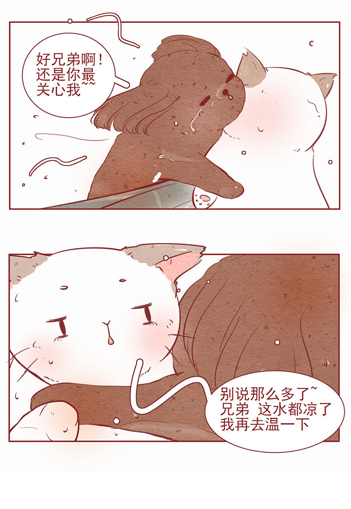 《晴天港湾》第27章 第8页
