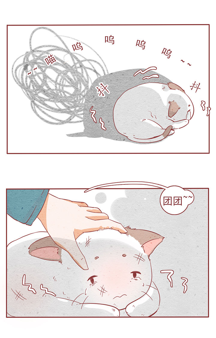 《晴天港湾》第6章 第11页