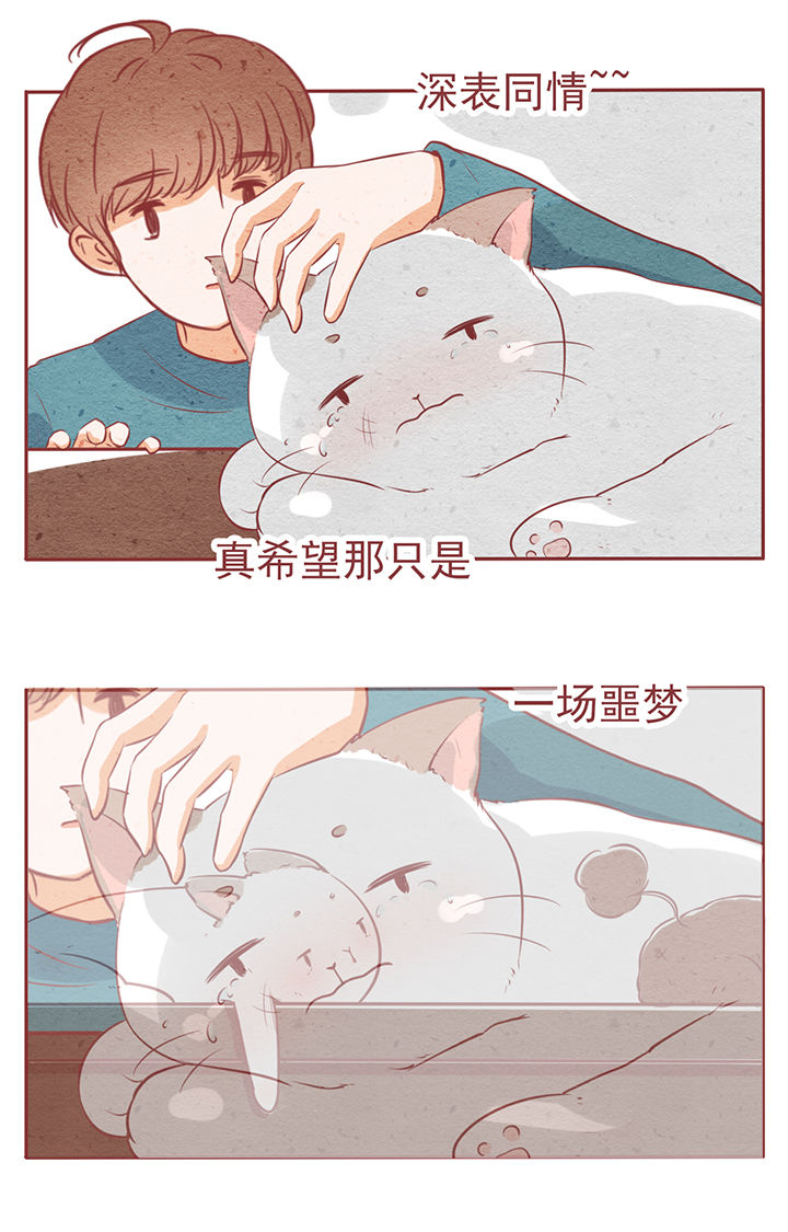 《晴天港湾》第6章 第13页