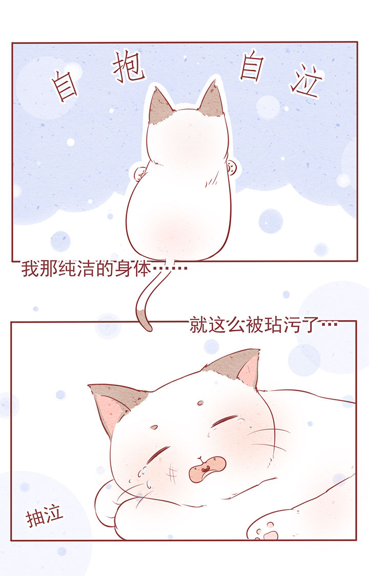《晴天港湾》第6章 第23页