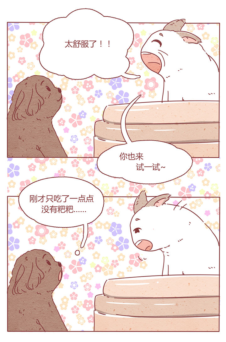 《晴天港湾》第2章 第11页