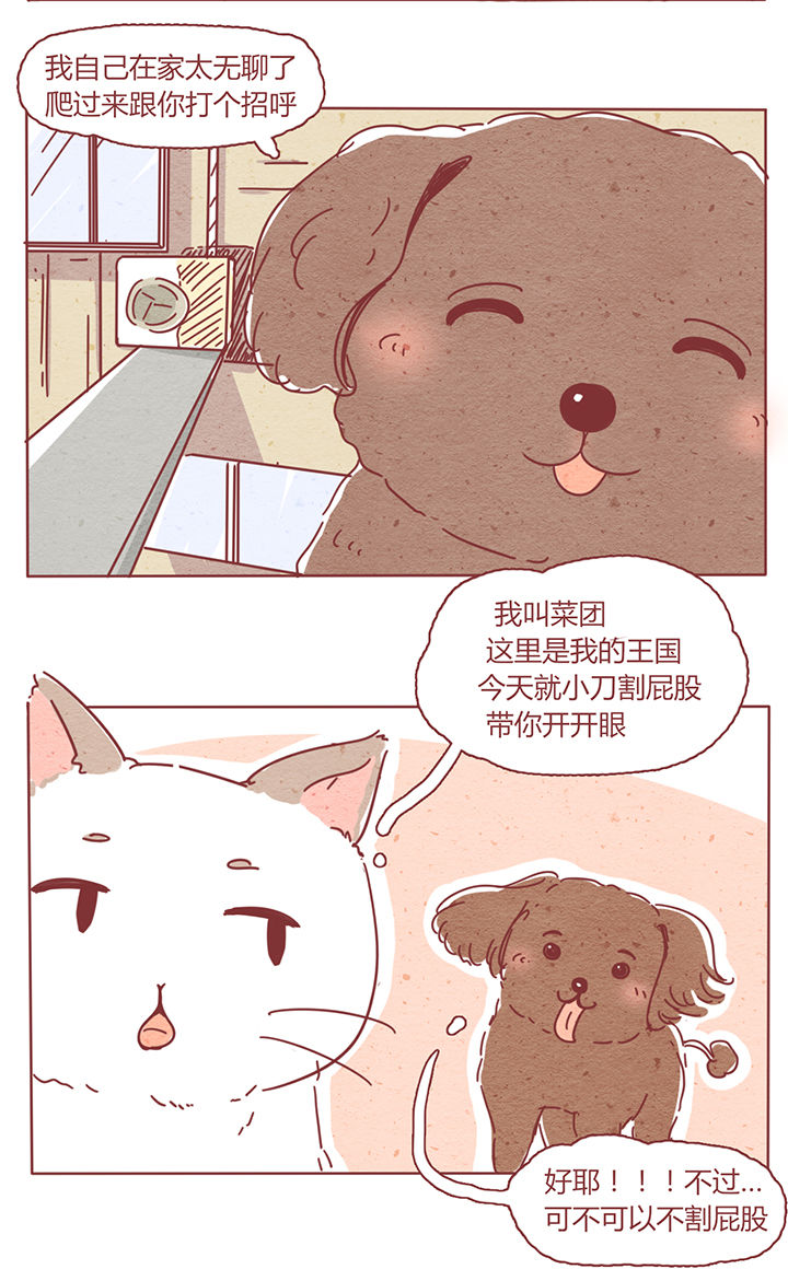 《晴天港湾》第2章 第3页