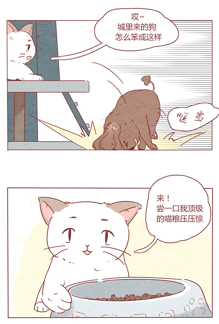 《晴天港湾》第2章 第8页