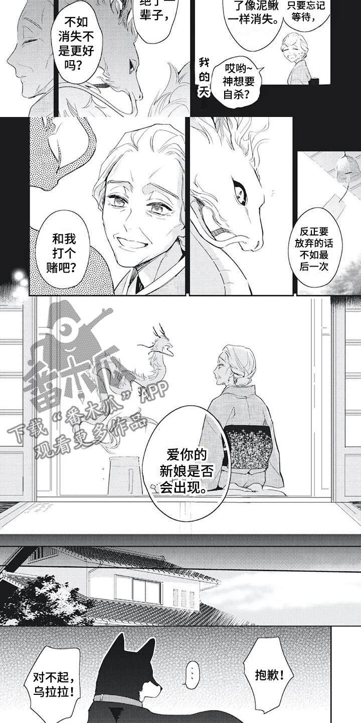 《龙神的逆鳞》第52章打赌 第2页