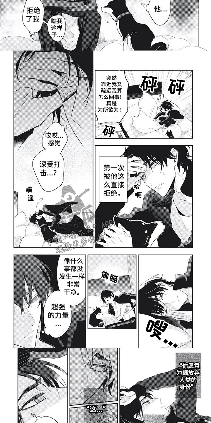 《龙神的逆鳞》第33章难过 第3页
