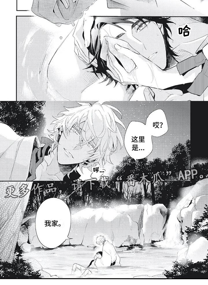 《龙神的逆鳞》第28章恢复神智 第5页