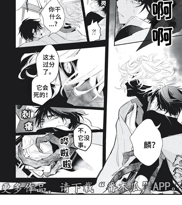 《龙神的逆鳞》第27章失控了 第4页