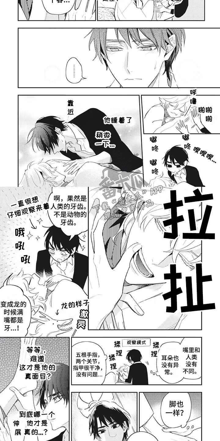 《龙神的逆鳞》第19章对身体感兴趣 第2页