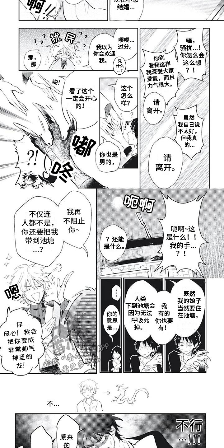 《龙神的逆鳞》第6章想做你的家人 第2页