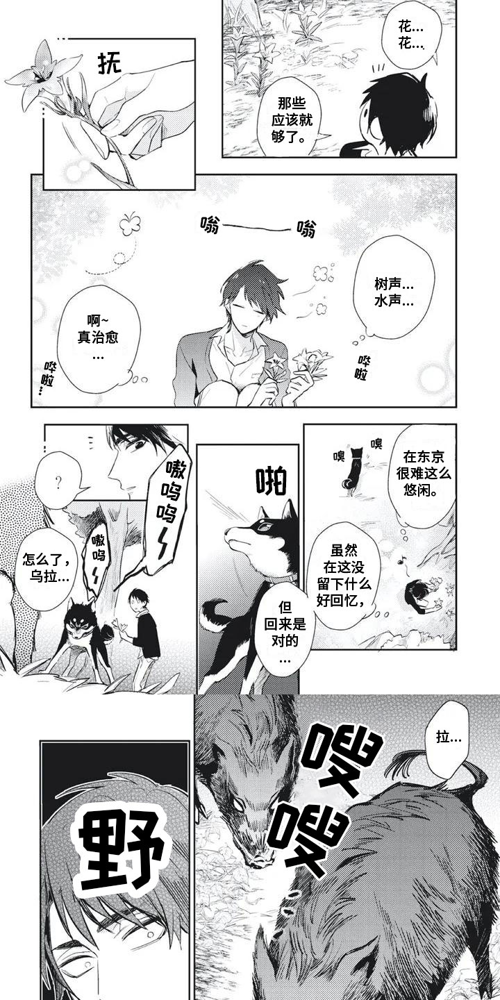 《龙神的逆鳞》第3章遭遇险境 第4页