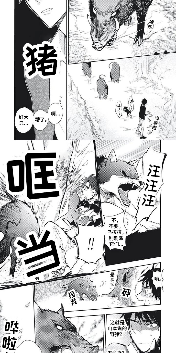 《龙神的逆鳞》第3章遭遇险境 第5页