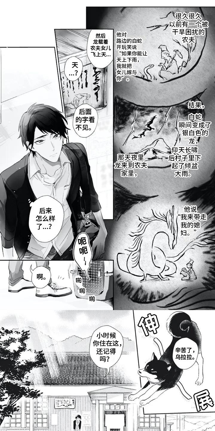 《龙神的逆鳞》第1章等我的娘子 第1页