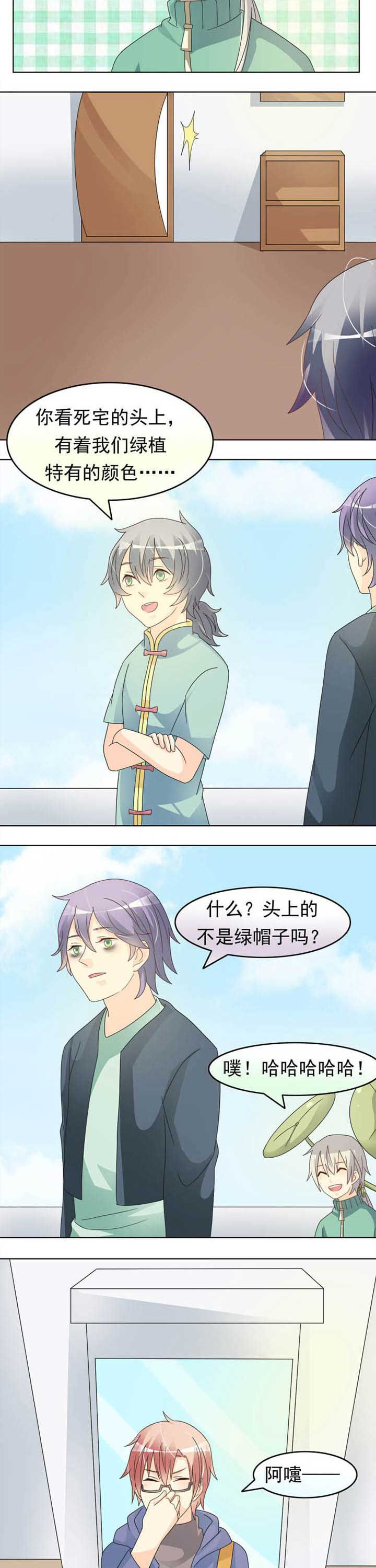 《草神，再爱我一次》第35章草神出关 第5页