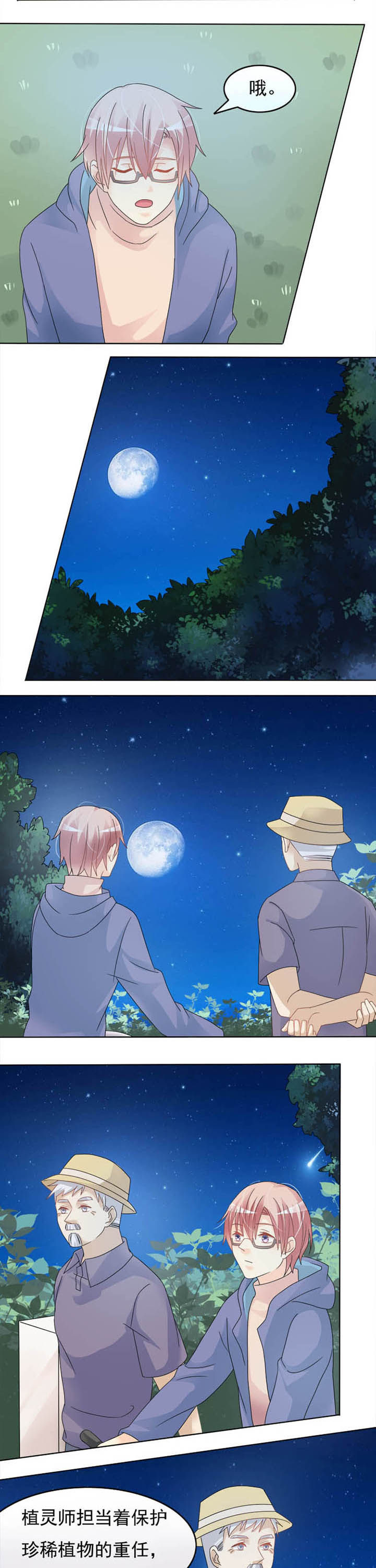 《草神，再爱我一次》第21章业余植灵师 第3页