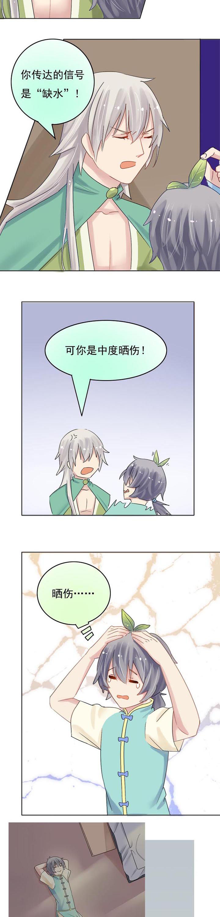 《草神，再爱我一次》第6章过度？ 第2页