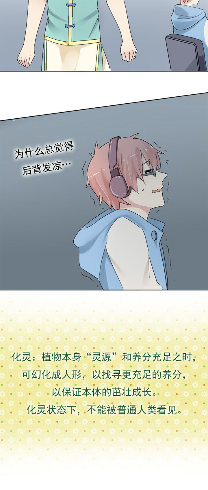 《草神，再爱我一次》第4章草神驾到 第8页