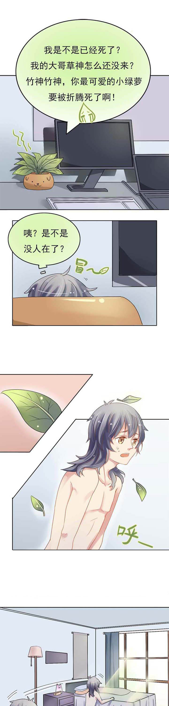 《草神，再爱我一次》第3章草神救我！ 第1页