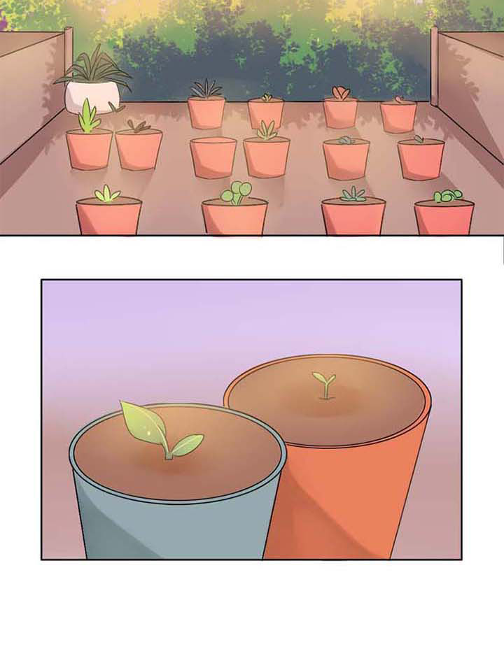 《草神，再爱我一次》第3章草神救我！ 第8页