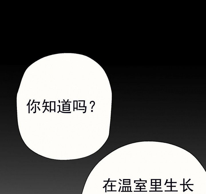 《被诱惑的我该怎么办》第60章宫梧的宣言2 第41页