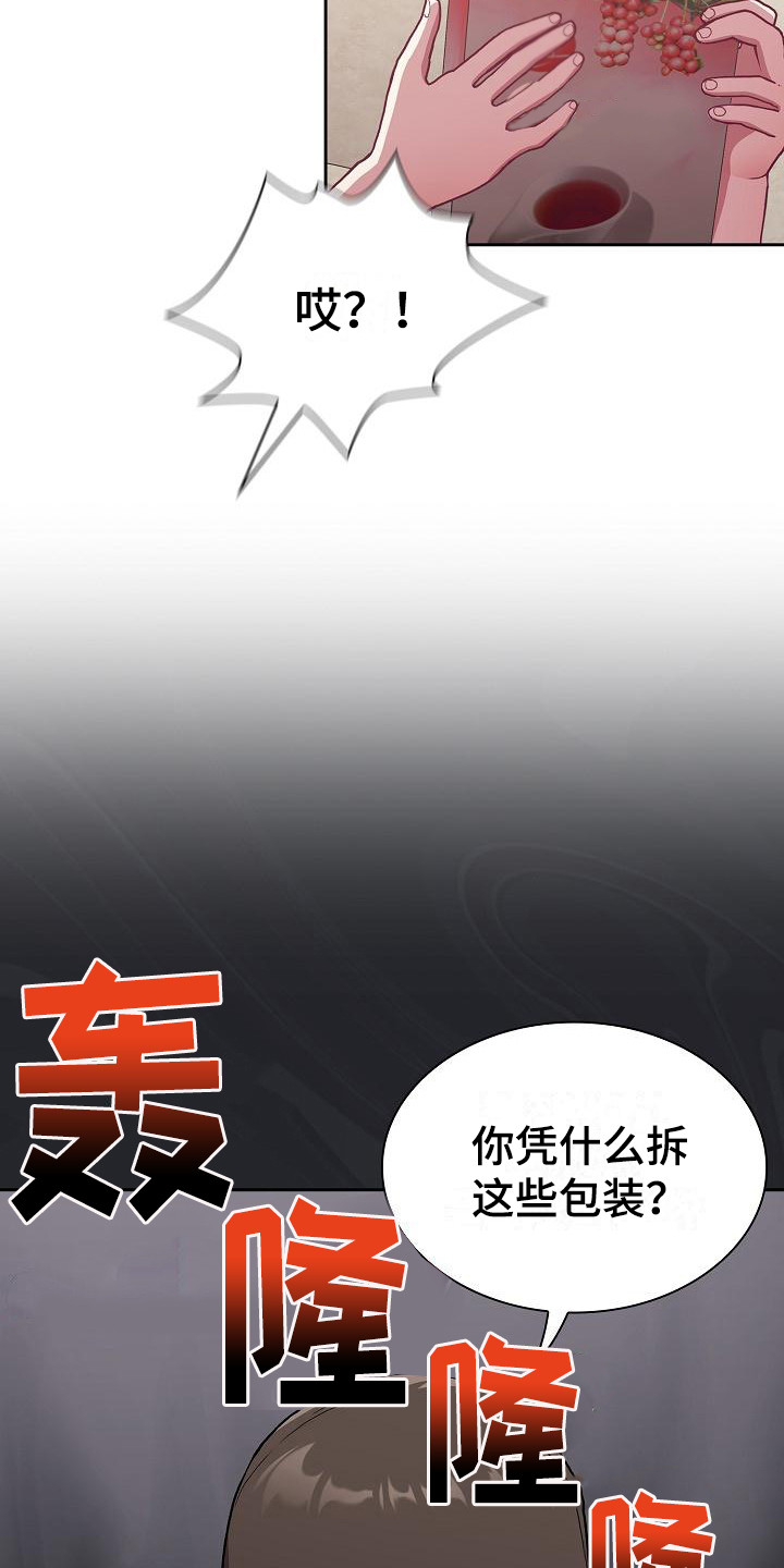 《冒牌未婚妻》第9章礼物 第19页