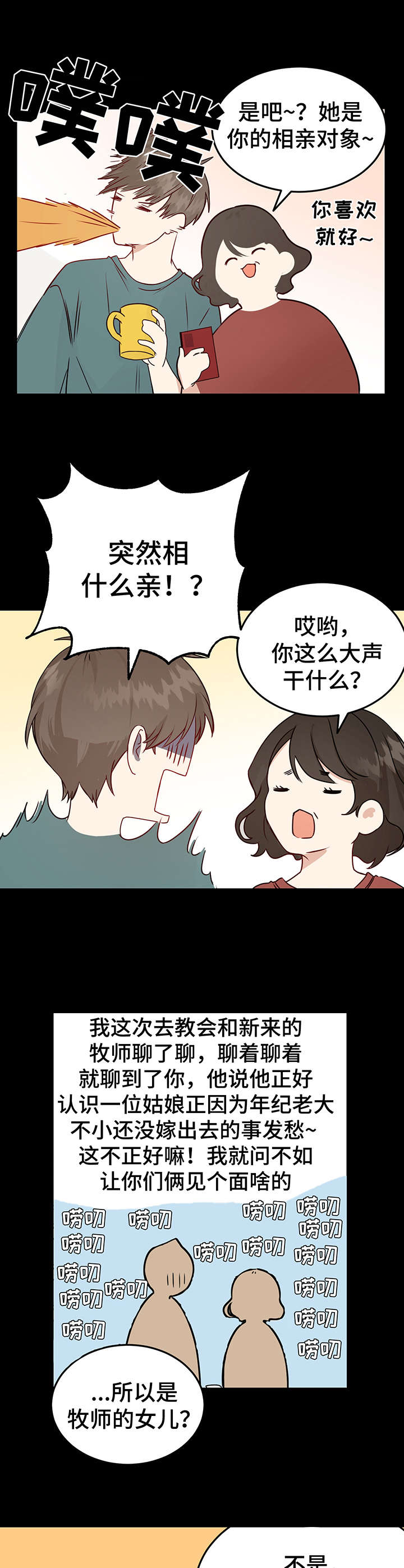 《真假恋爱》第1章相亲 第4页