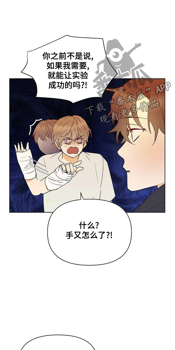 《命运指引》第110章【第二季】幸福的结局 第25页