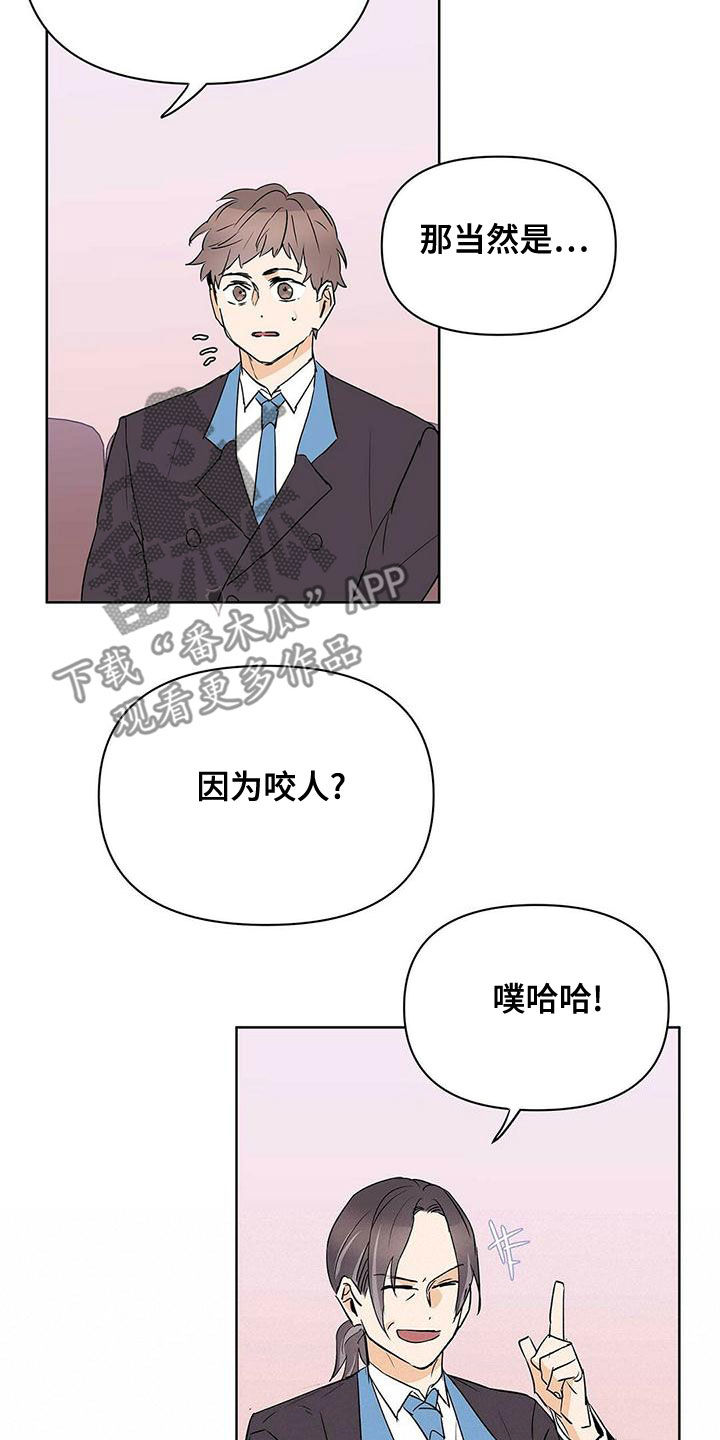 《命运指引》第112章【第二季】疯狗 第6页