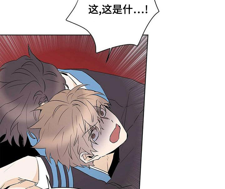 《命运指引》第109章【第二季】增加条件 第15页
