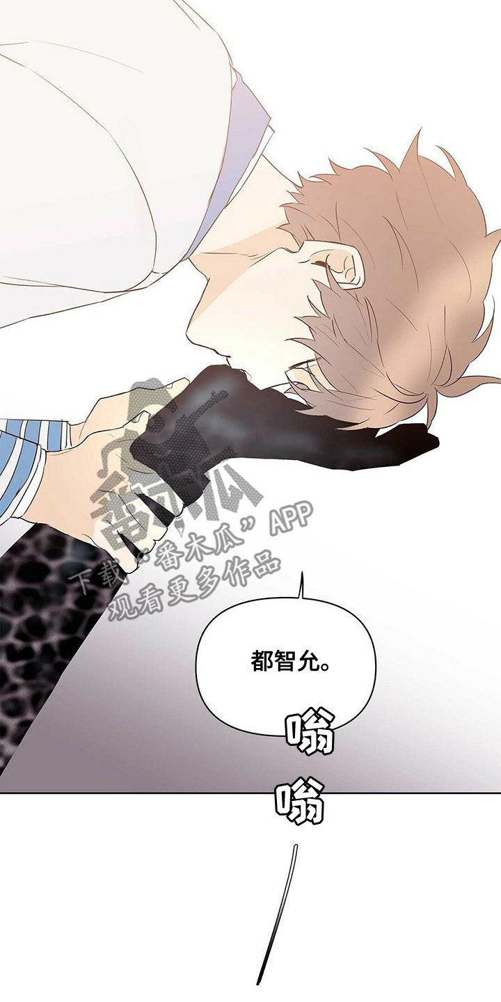 《命运指引》第108章【第二季】遵守约定 第14页