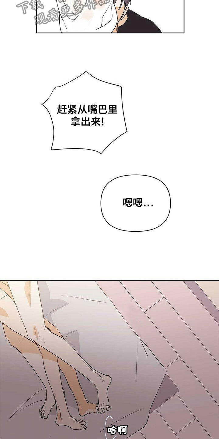 《命运指引》第104章【第二季】让实验失败 第13页